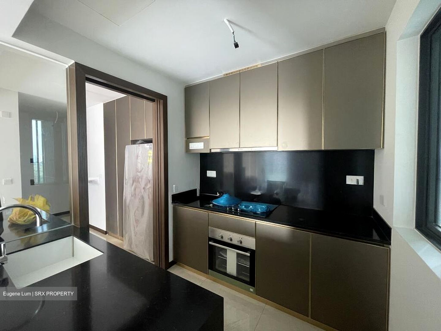 Normanton Park (D5), Apartment #502801211